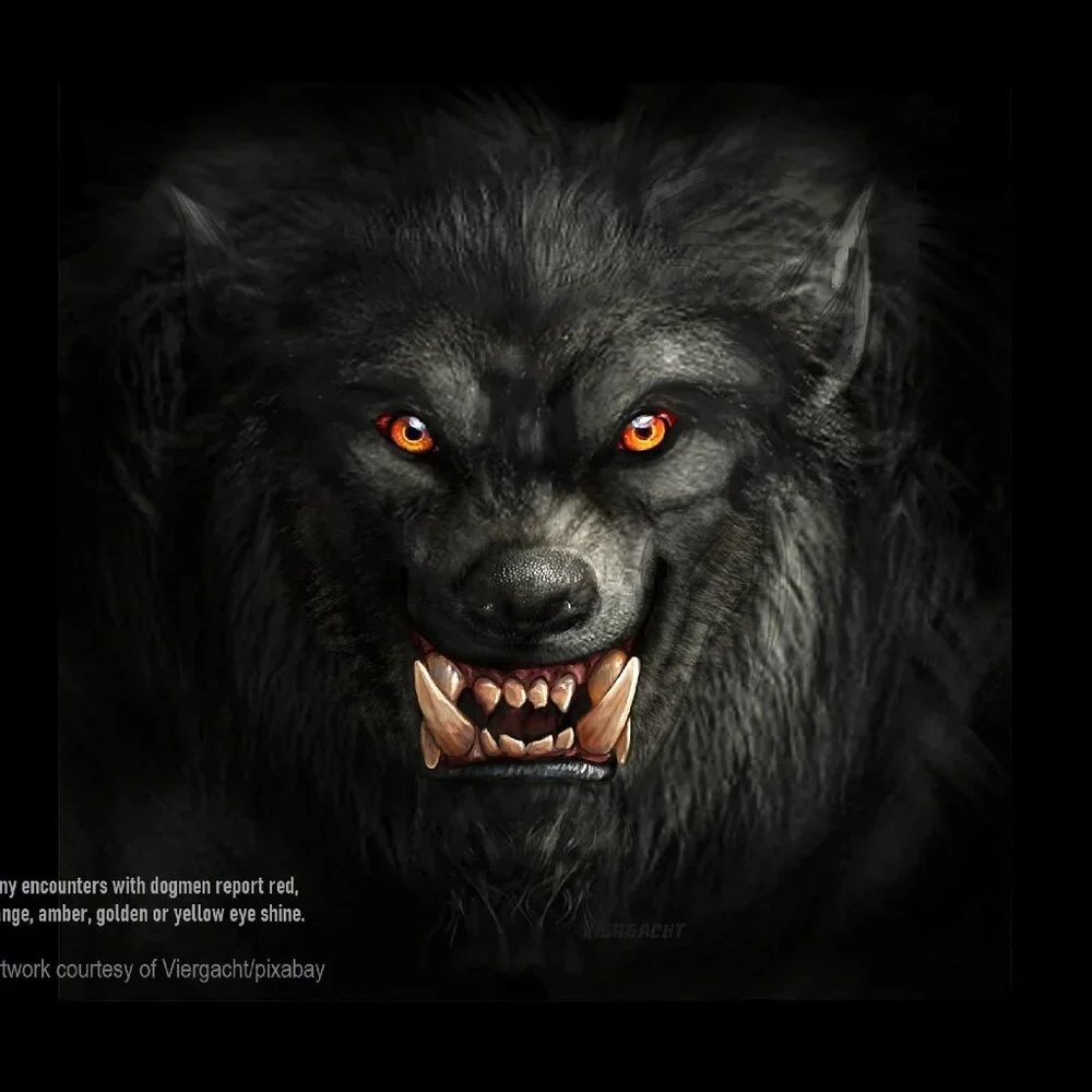 Dogman Calendar 2027 Werewolf Rougarou Wolfman Cryptid Paranormal Calendar